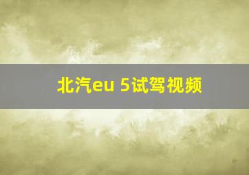 北汽eu 5试驾视频